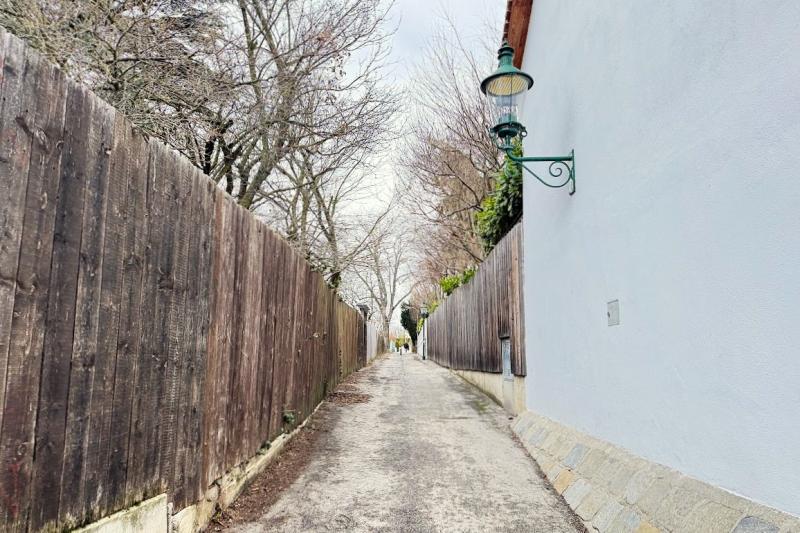森へと続く散歩道