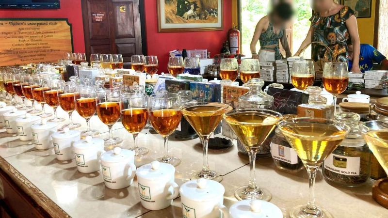紅茶の試飲