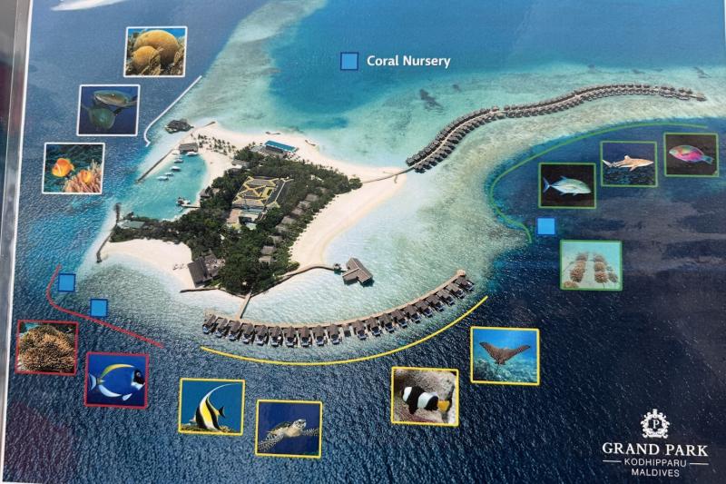 お魚たちの生息ポイントが分かりやすく掲示されています