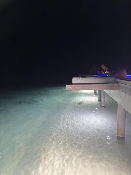 ゆったりと泳ぐ魚を見ながら飲むお酒は格別です