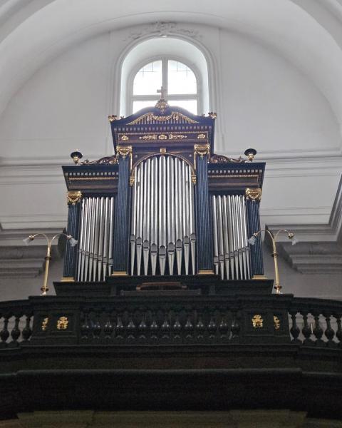 ヴィジトキ教会のパイプオルガン