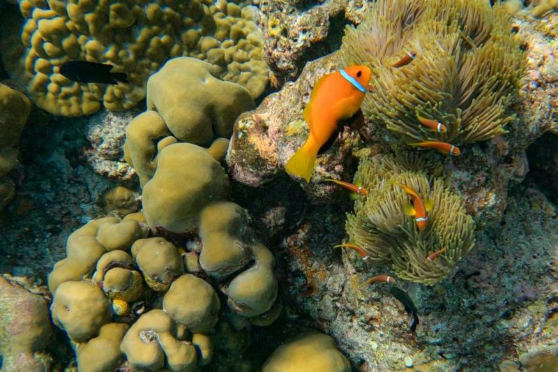 かわいいお魚がこんなに近くに!