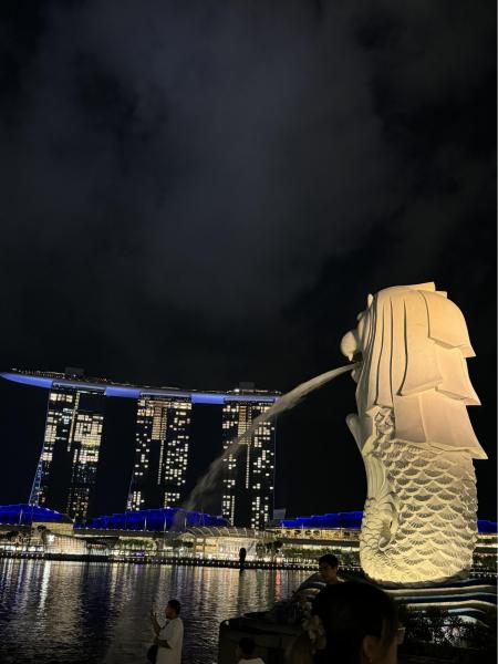 夜のマーライオン