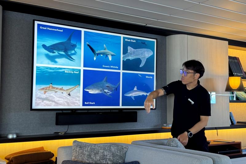 フォーシーズンズ エクスプローラーでは、海で遊ぶだけでなく、そこに暮らす生き物について専門家から学ぶこともできます。サメやエイと言ってもいろいろな種類があることを知り、今まで何となく眺めていた海の中でも新しい発見ができそうです。