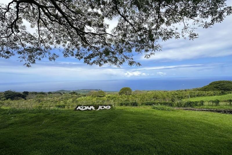 ハワイ島・フアラライ山の中腹に位置するコナコーヒー農園のひとつ、コナジョー コーヒー農園。ホワイトハウス御用達コーヒーと言われています。写真はカフェテラス手前からの眺望です