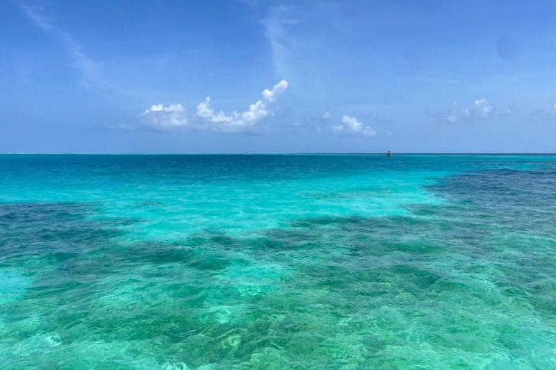 地上から見ても透明感ある海、魚もたくさん泳いでいました