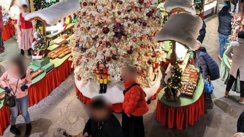 【お客様の声】クリスマスのドイツ&オランダで年越しを! 年末年始をヨーロッパで過ごすハネムーン13日間