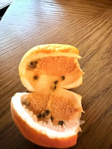 ジャマイカ リリコイ。写真は中身を割ったもので中はまさにリリコイ