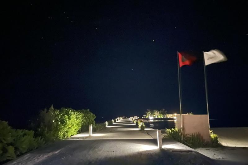 夜は涼しく星がきれいすぎて、夜散歩もとっても楽しかったです