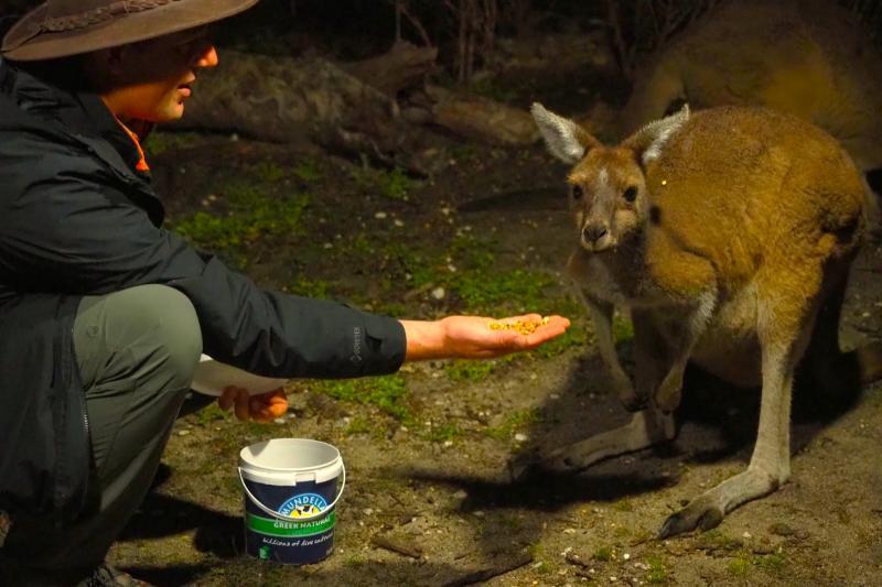 マーガレットリバーでの体験をご紹介!