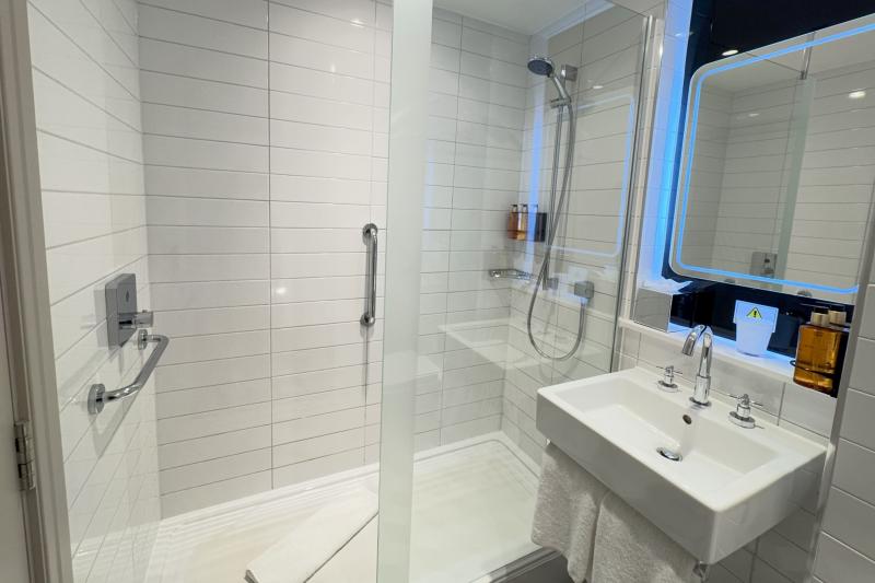 シャワーはハンディタイプです