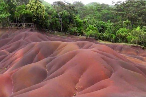 【 Chamarel Coloured Earth 】ブラックリバー渓谷国立公園にあります。この表面のうねりは、鉱物が堆積したもの。晴れたら虹色に見えることがあります。