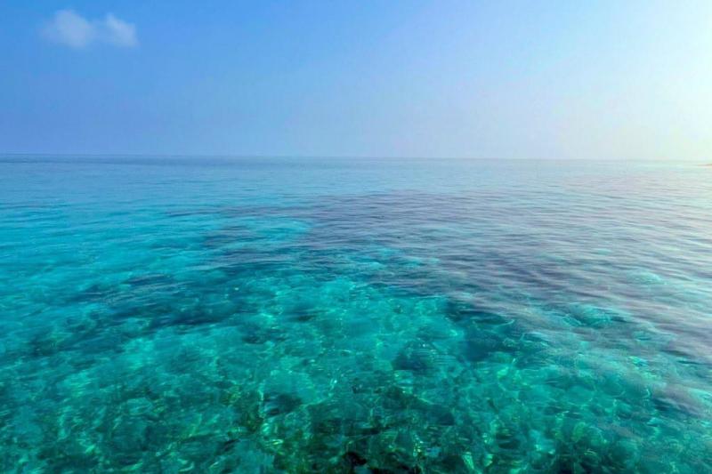 青々とした海で、心が洗われます