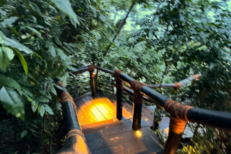 足元は石畳と、このような階段があるので、滑らないように気を付けてください