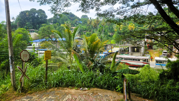 緑が増えてきました