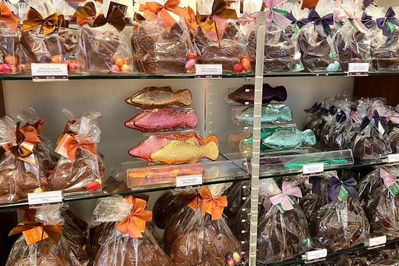 魚やカエルなど、生き物をかたどったチョコが多かったです
