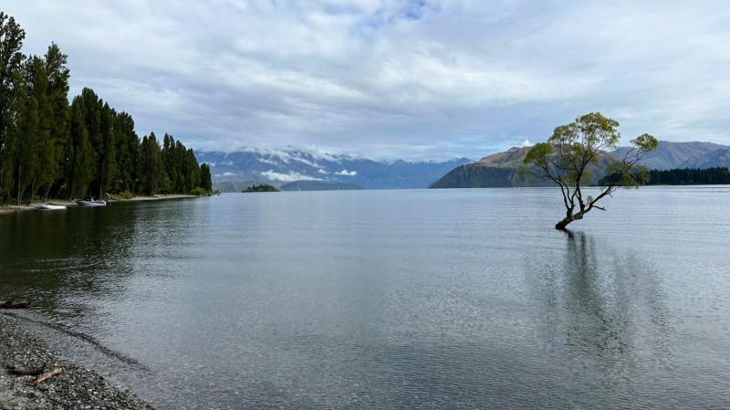 ワナカ湖の静かな朝