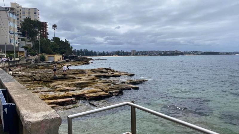 マンリーからシェリービーチへの遊歩道からの景色