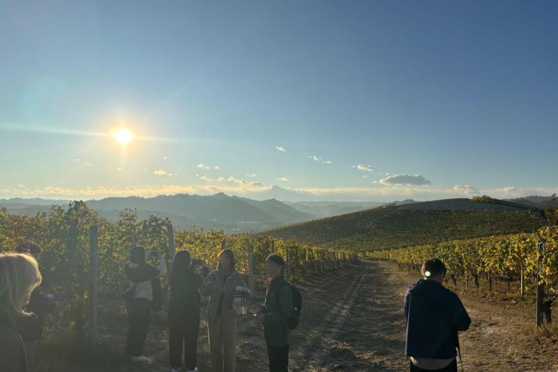 一面ブドウ畑の丘を登っていきます