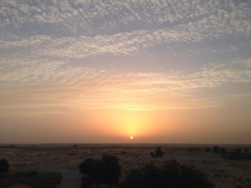 砂漠から見るサンライズです。早起きする価値ありです！！！