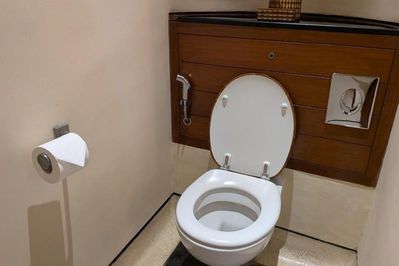 トイレ横には手持ち式のビデシャワーが設置されています