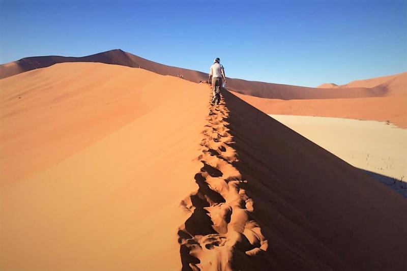 ナミブ砂漠の様子