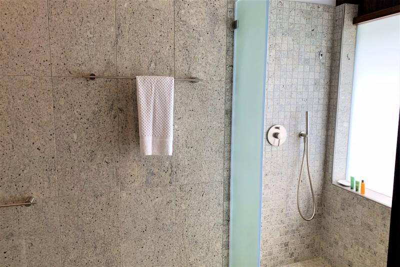 洗面スペースの反対側にはシャワーがあります