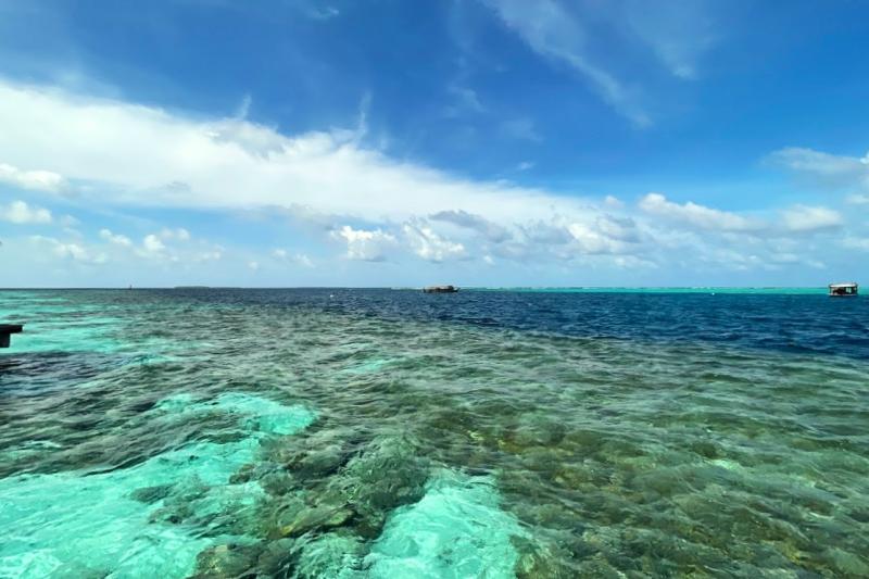 レストランの前の海もとてもきれいです