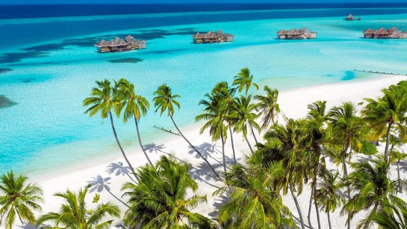 コロナ禍で国内移動もままならず、四方を山に囲まれた場所に住んでいる海好きの私にとっては、海が今一番遠く恋しい場所です。見渡す限りの青い海を眺めながら、真っ白な砂浜に寝転がってビールを片手に日光浴を楽しんだり、水平線に沈む夕日と共にドルフィンクルーズにも出かけたいですね！（写真：© Gili Lankanfushi Maldives）