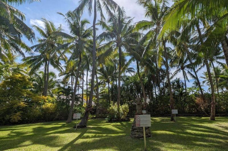 午前中は太陽の当たり方もよく木陰もあり、素敵なガーデンでした