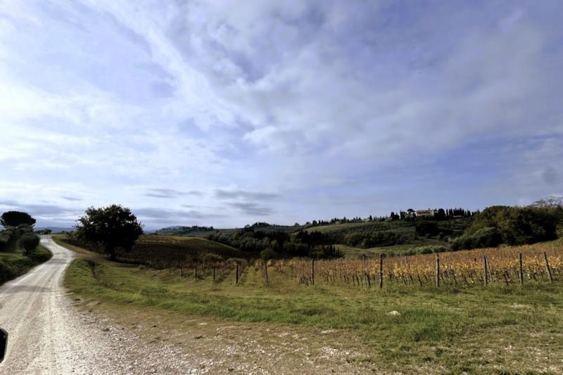 メインビルディングから車で数分