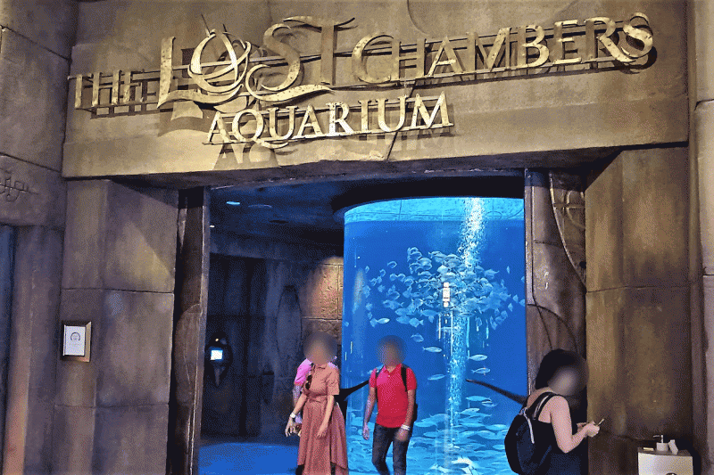ロストチェンバーズ水族館の正面入り口。まるで冒険が始まりそうな、ドキドキの予感！？