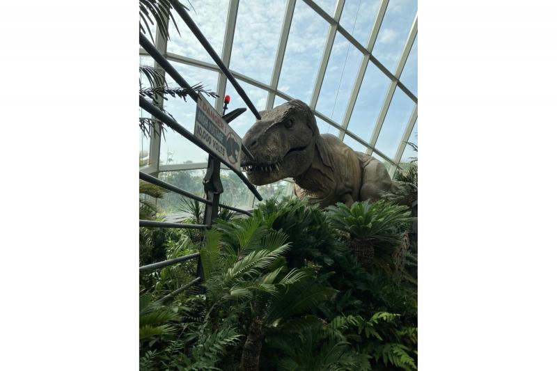 ちょうどクラウドフォレストで、ジュラシックワールド企画展がありました。セントーサ島を拠点に、水生生物や恐竜が大好きな息子が楽しめる旅行になりました。