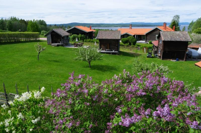 美しいダーラナ地方（テルベリ）の風景