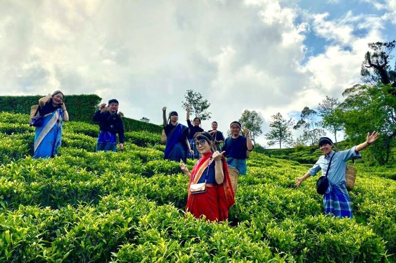 おもしろかった茶摘み体験