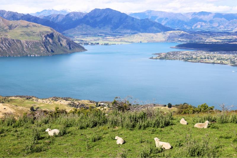 ロイス ピークからの湖の景色。群青が今まで見たことないほど綺麗でした