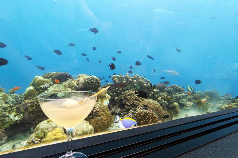 カクテルを飲みながらお魚を楽しめるのも素敵ですね