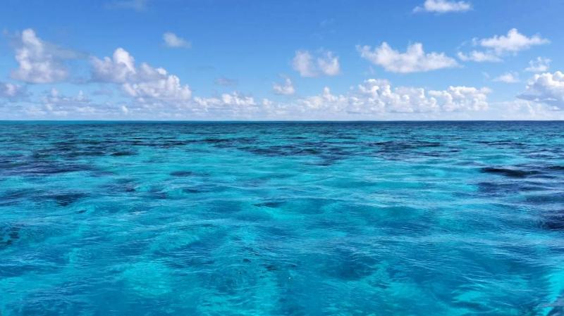 移動中見えるパラオの美しい海