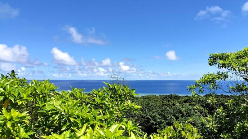 展望台からの景色