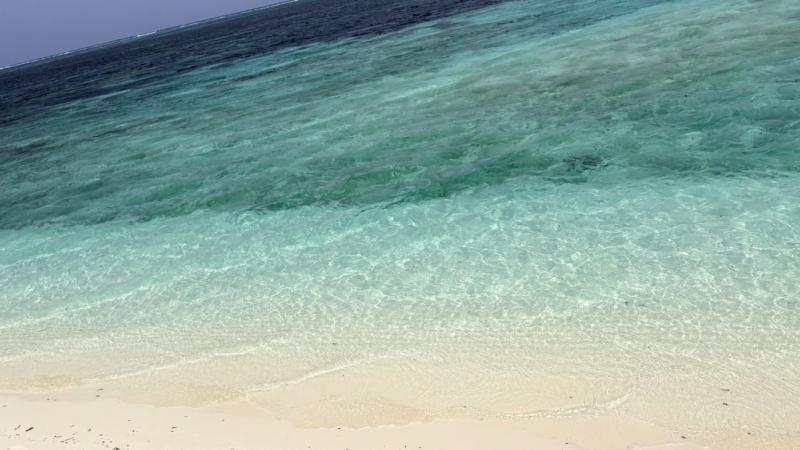 モルディブの海