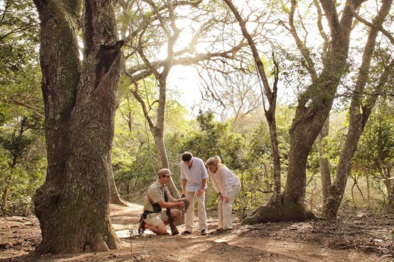 ネイチャーウォーク