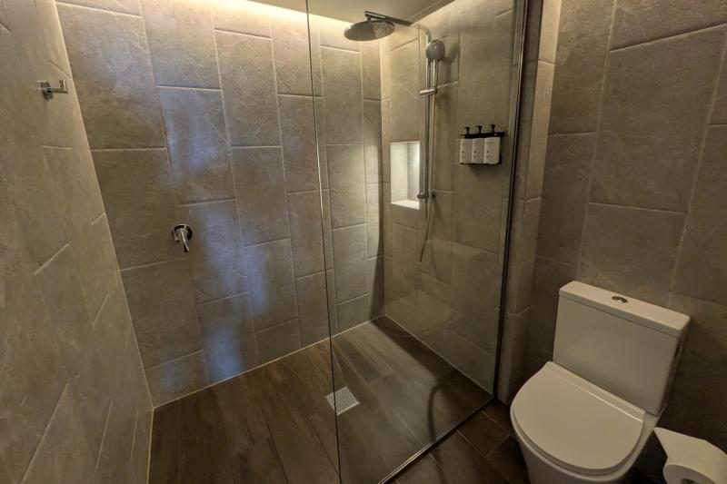 落ち着いたトーン。シャワーはハンドタイプとレインフォール式の2タイプ