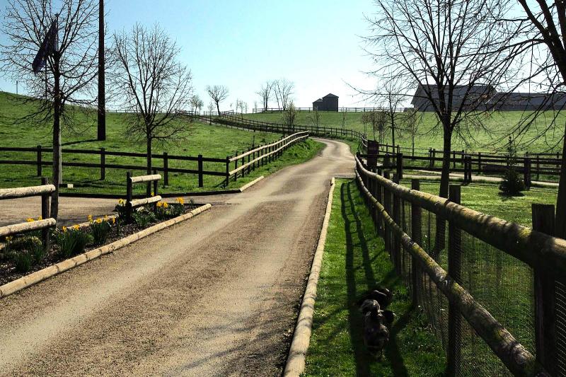 ホテル保有の農場へ続く道