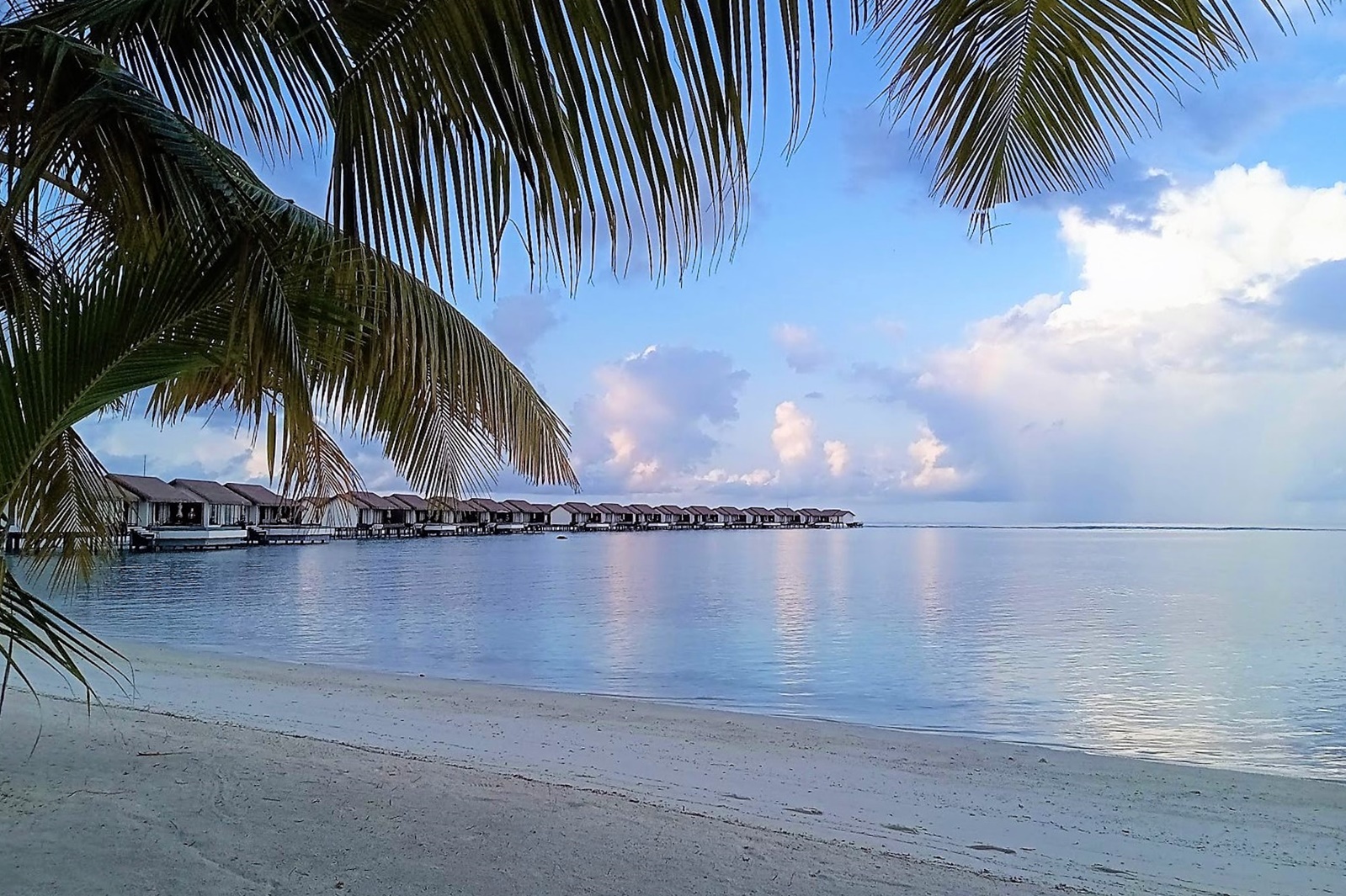 MALDIVES REPORT|モルディブ 視察ブログ