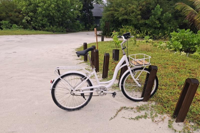 自転車