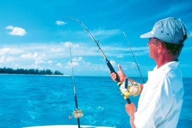 《フィッシング》豊富な魚類が集まることで知られるデニス島は、釣り人の間では有名なフィッシングスポット。また、島中心部のデニスアイランドスポーツフィッシング/ダイブセンターでダイビングツアーに参加もできます。