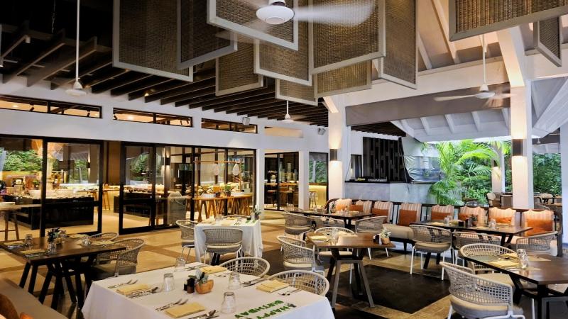 カフェ ランダー