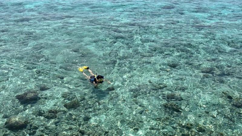 海へシュノーケリング