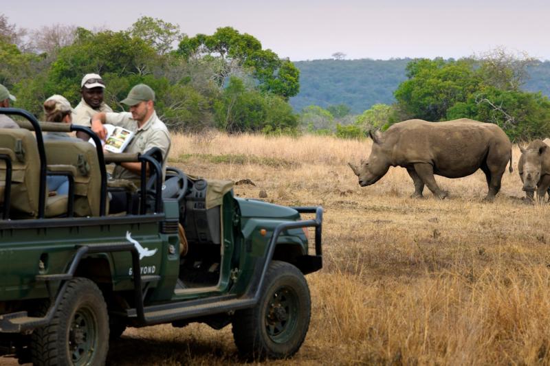 ゲームドライブ