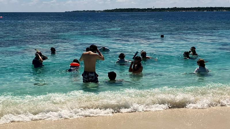 参加者全員で海に向かいます。みんなで目を光らせているので珍しい魚などもすぐに共有してくれます